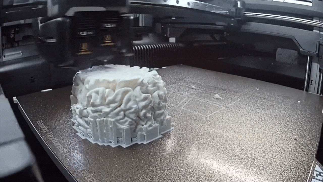 3D printing a brain